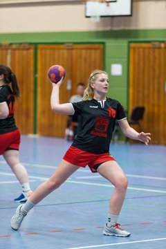 Bild 109 - Frauen HSG Krem/Muensterdorf - HG OKT 3 : Ergebnis: 33:21